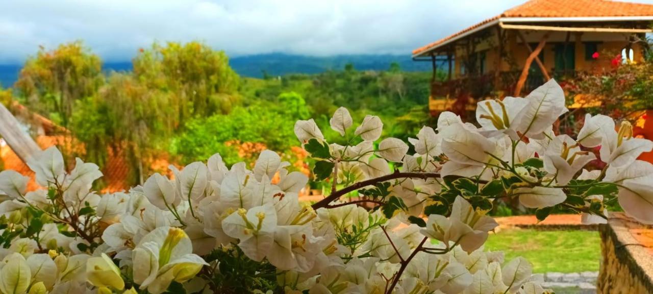 Villa Macua Chipata Exterior foto